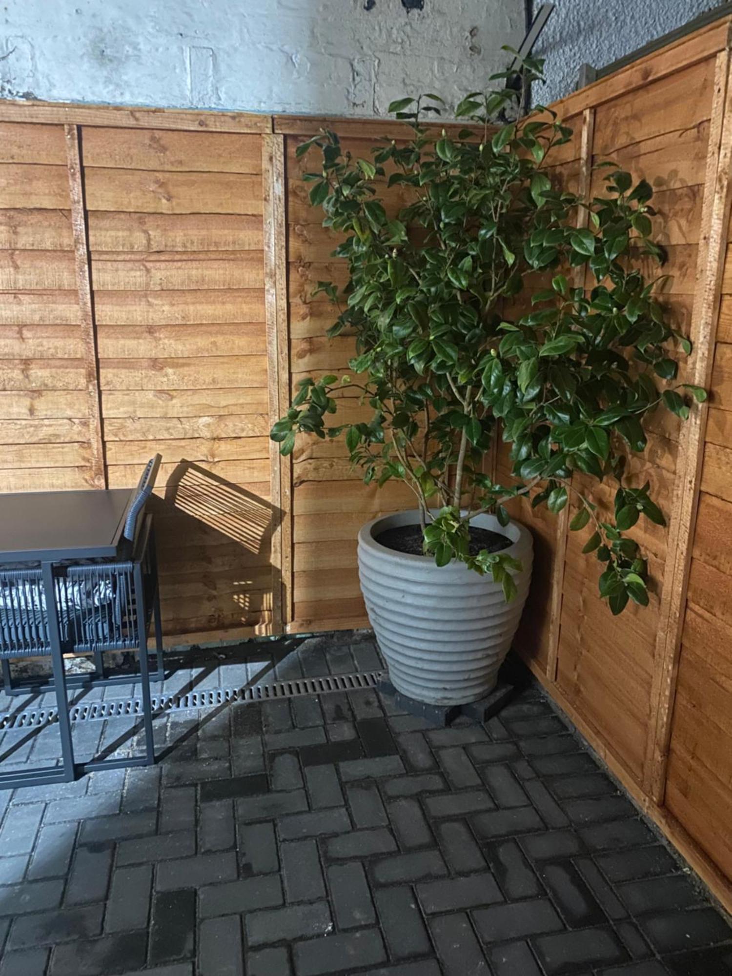 The Terrace Apartment Saint Monance Exterior foto